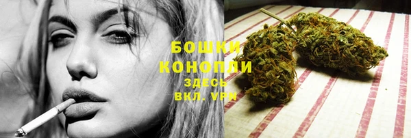 прущие грибы Белокуриха