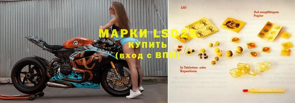 прущие грибы Белокуриха