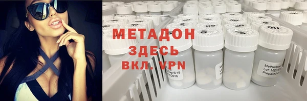 прущие грибы Белокуриха