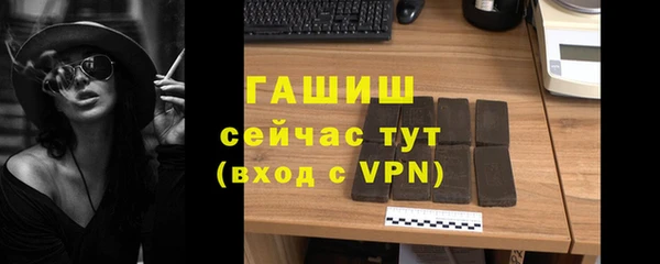 прущие грибы Белокуриха