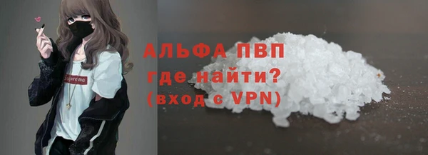прущие грибы Белокуриха