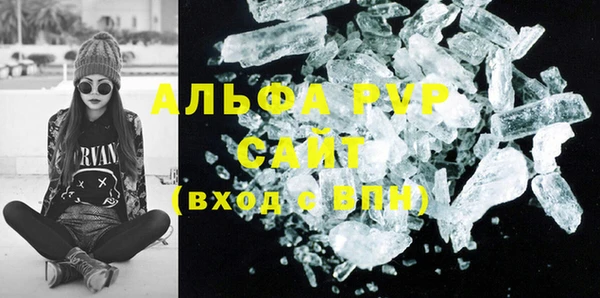 прущие грибы Белокуриха