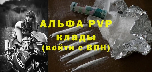 прущие грибы Белокуриха
