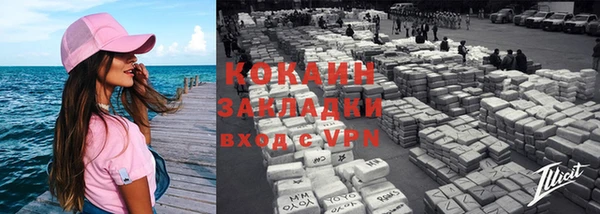 прущие грибы Белокуриха