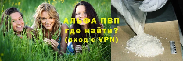 прущие грибы Белокуриха