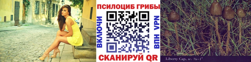 цены   Дальнегорск  Галлюциногенные грибы MAGIC MUSHROOMS 
